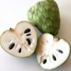 Annona cherimola Rahmapfel/Cherimoya