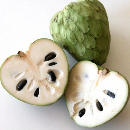 Annona cherimola Rahmapfel/Cherimoya