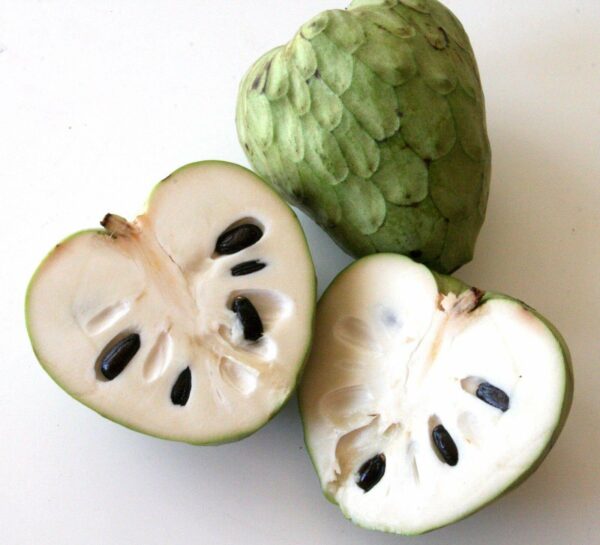 IMG_6414 Annona cherimola Rahmapfel/Cherimoya
